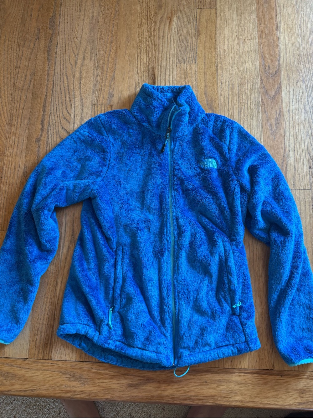The North Face Osito blue fuzzy fleece jacket